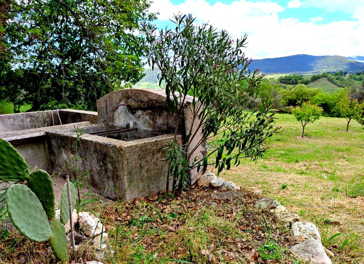 Ai Limiti • 67 • Stonehouse Guest House Palombaro Eksteriør bilde